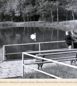 Fragment parku zdrojowego - 1966 rok - Inowrocław. Fragment parku zdrojowego .
fot. J. Siudecki
Biuro wydawnicze "RUCH"
Pocztówka wydana w 1966 roku.