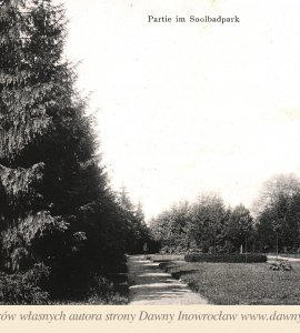 Część parku Solankowego - 1913 rok - Część parku Solankowego. Inowrocław.
Pocztówka wysłana 18 sierpnia 1913 roku.
Partie im Soolbadpark. Hohensalza.
J. Themal, Posen.